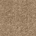 sahara