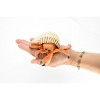 Collectible Wildlife Gifts | Hermit Crab Toy. Crustaceans, Museum Quality Rubber Model, Ocean, Beach, Sea, Animal, Hand Painted, 5" CH095 BB85 - 3 of 4