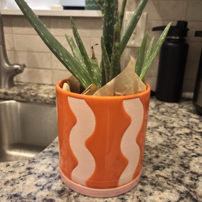 Guest review image 3 of 3, zoom in