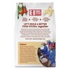 Equal Exchange Organic Natural Cashews - Case of 6/8 oz - 3 of 4