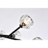 Elegant Lighting Graham 12 - Light Pendant in  Black - 3 of 4
