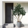 Sapphtopaz Artificial Silk Tree with Pot, Faux Plants Artificial Trees Indoor with Natural Wood Trunk for Indoor Outdoor Home Office Decoration - 2 of 4