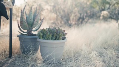 Hopson Mid-Century 5" Charcoal Gray Round Plastic Planter with Metal Stand