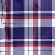 navy plaid