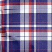 navy plaid