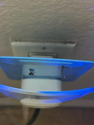 Guest review image 1 of 2, zoom in