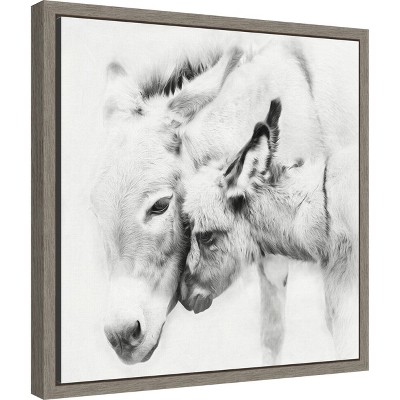 Sylvie Greywash Framed Canvas Print of Donkey Portrait III