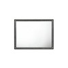 Haiden Weathered Black Finish Mirror - 4 of 4
