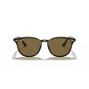 Ray-Ban RB4259 51mm Unisex Irregular Sunglasses - 2 of 4