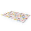Colour Poems Moroccan Minimalist I 4’ x 6 Rug - Deny Designs - 2 of 4
