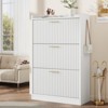 Molysoul Shoe Cabinet, 3 Flip-Drawer Shoe Organizer with Adjustable Shelf, Freestanding Entryway Storage for Foyer, Hallway, Living Room - 3 of 4