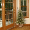 3' Prelit Nordic Spruce Artificial Christmas Tree Clear Lights - National Tree Company - 2 of 4