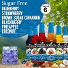 Syruvia Sugar Free Coffee Flavors Variety Pack: Blueberry, Strawberry, Blackberry, Brown Sugar Cinnamon, Pineapple & Coconut 25.4 fl oz Syrup - 2 of 4