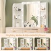 Sapphtopaz Vanity Desk with Mirror and Lights Dressing Table with Drawer, Storage Cabinet, 3 Adjustable Lighting Colors for Bedroom - 3 of 4