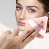 Unique Bargains Loose Powder Puff Face Soft Triangle Puff Blender Beauty  Makeup Tool Short Plush 2 Pcs Black Pink : Target