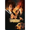 Trends International Harry Potter and the Chamber of Secrets - Sword One Sheet Unframed Wall Poster Prints - 4 of 4