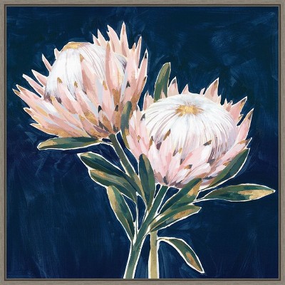 Amanti Art King Protea Flowers by Isabelle Z Canvas Wall Art Print Framed 22 x 22-in.