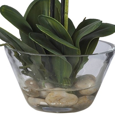 Orchid Elegance 29'' White Phalaenopsis Outdoor Tabletop Arrangement