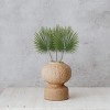 Sullivans Artificial Palmetto Leaf 39.5" Green - 4 of 4