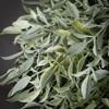 Sullivans Artificial 5.5" Ruscus Orb, Green - 2 of 3