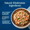 Blue Buffalo Love Made Fresh Chunky Chicken Stew Wet Dog Food - 1lb - 4 of 4