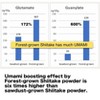 Sugimoto Co., Ltd. - Forest-Grown Japanese Shiitake Powder 40g, Natural Umami Booster - 3 of 4