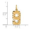 Black Bow Jewelry 14K Yellow Gold, Varsity Collection, Medium D/C Pendant Number 9 - 4 of 4