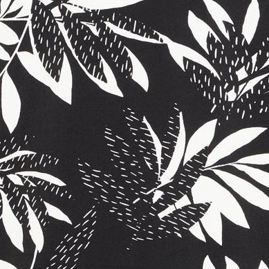 mono palm
