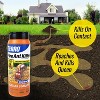 Terro Fire Ant Killer Mound Treatment - 32oz - 4 of 4