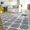 4'x6' Geometric Pattern Living Room Rug, Fluffy Non-Slip Rug - 3 of 4