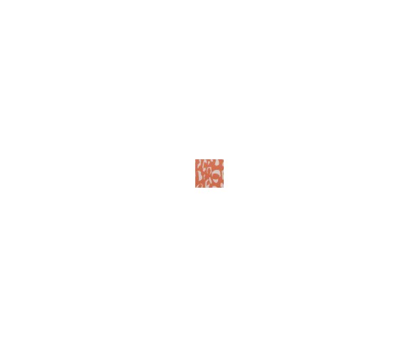Orange Leopard Indoor/Outdoor Throw Pillow (20"x20") - Nourison