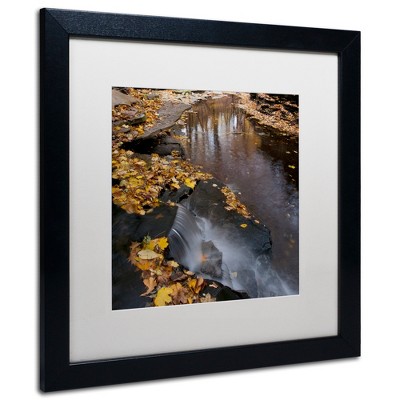 Trademark Fine Art -Kurt Shaffer 'Lakeview Autumn Waterfall #2' Matted Framed Art