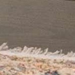 burnt orange, dark brown, gray, light gray, medium brown, mustard