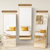 Grungis Rectangle Full Length Mirror,Full Body Mirror Floor Standing Hanging or Leaning Wall,Wall Mirror for Bedroom,Living Room - 3 of 4
