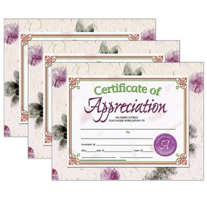 Hayes Publishing Certificate of Appreciation 30/Pack 3 Packs (H-VA614-3) - 1 of 1