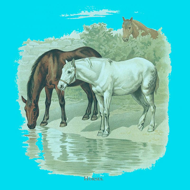 Girl's Lost Gods Retro Horses Water Portrait T-Shirt, 2 of 4
