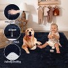 Fluffy Area Rug- Shag Area Rug for Living Room, Shaggy Large Indoor Thick Living Room Carpet with Non-Slip Backing, Soft Plush Carpet - 4 of 4