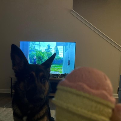 Ice Cream Bucket Interactive Dog Toy – WOOFELITE