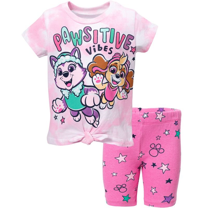 Paw Patrol Everest Skye Skye and Everest Graphic T-Shirt & Shorts Pink, 1 of 8