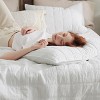 100% Cotton Quilt Set Lightweight Bedspread Cozy Bedding Coverlet 3-Piece with Pillow Shams - 2 of 4
