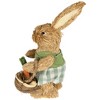 Northlight 10.5" Sisal Easter Bunny Rabbit Spring Figure with Carrot Basket - Brown/Green - image 4 of 4