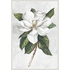 Amanti Art 23"x33" Pearly Beauty I by Eva Watts Framed Canvas Wall Art Print - 4 of 4