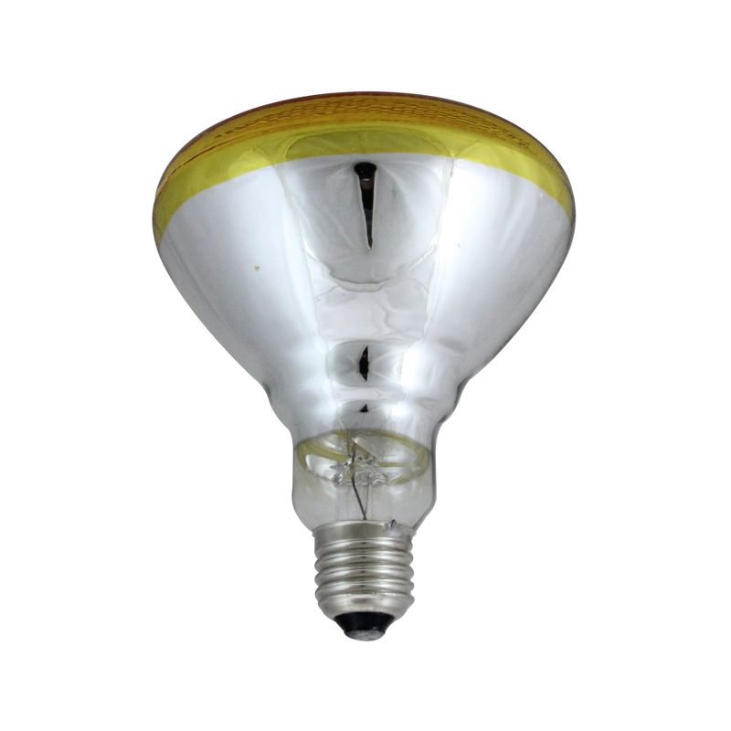 Northlight Incandescent Weatherproof 100 Watt Indoor/Outdoor Amber Floodlight Bulb, 2 of 3