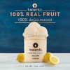 Talenti Zesty Lemon with Real Lemon Dairy-Free Sorbetto - Frozen - 1 Pint - 4 of 4