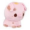 Birduyen Cinnamon the Summer Pig Plush - 4 of 4
