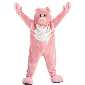Dress Up America Pig Mascot for Kids and Teens - 1 of 1