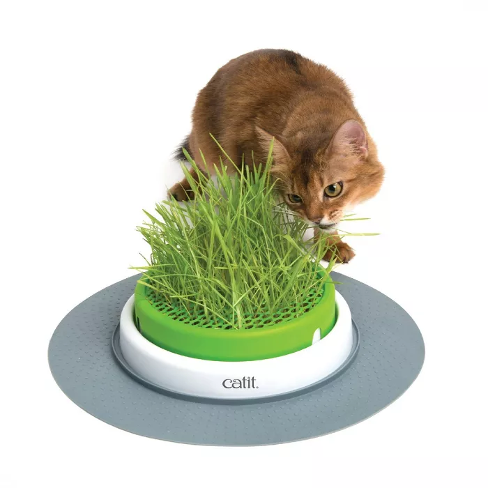 target.com | Catit Senses 2.0 Grass Planter for Cats