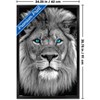 Trends International Reinders: Animals - Blue Eyed Lion Framed Wall Poster Prints - 3 of 4