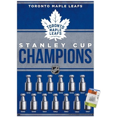 clear push pins bundle