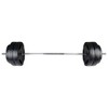 Signature Fitness Standard Coded and Vinyl Coated Olympic Weight Plate for Muscle Strengthening and Endurance Training, Black (Set of 2) - 2 of 3